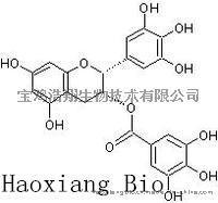 表没食子儿茶素没食子酸酯